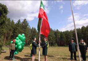 Татарстан станет пилотным регионом программы по озеленению берегов Волги - НТР 24
