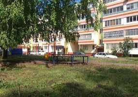 В одном из дворов Нижнекамска жестоко расправились с котом - НТР 24