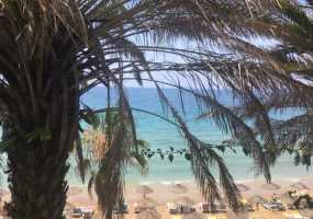 Стоп - тропики: Куда лучше не ехать в отпуск - НТР 24