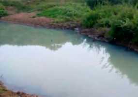 В Татарстане вода в реке превратилась в молоко - НТР 24