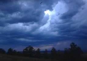 В Нижнекамске +9 градусов, дождь не прекращается - НТР 24