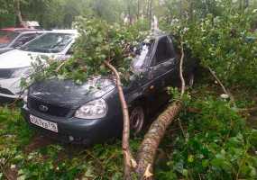 В Нижнекамске сильный ветер повалил деревья и ветви на машины - НТР 24