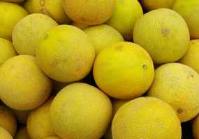 Есть дыню на голодный желудок чревато серьезными последствиями - НТР 24