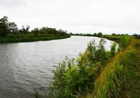 В Нижнекамске +15 градусов и солнечно, будет тепло, но пройдет дождь - НТР 24