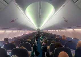 В аэропорту Нижнекамска при посадке в турбину самолета влетела птица - НТР 24