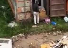 В Нижнекамске очевидцы увидели, где прятали сбежавших из зоопарка зверей - НТР 24