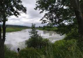 В Татарстане ожидаются порывистый ветер, гроза и осадки - НТР 24