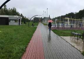 В Нижнекамске +10 градусов, ожидается пасмурная погода с небольшими дождями - НТР 24