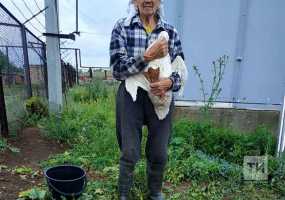 В Татарстане сотрудники МЧС спасли упавшего в глубокий колодец гуся - НТР 24