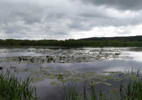 Синоптики предупреждают о тумане в Татарстане - НТР 24