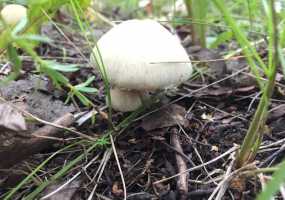 В Нижнекамске +14 градусов и пасмурно, ожидается теплая и ясная погода - НТР 24