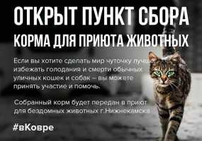 В Нижнекамске стартовала акция в помощь бездомным животным