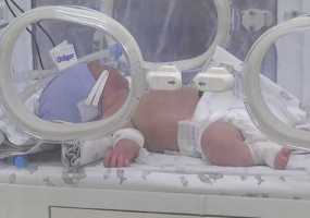 Сенсация: женщина стала матерью с разницей в два месяца - НТР 24