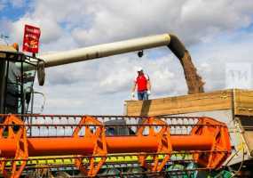 В Татарстане аграрии намолотили второй миллион тонн зерна нового урожая