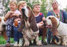 Собаки могут излечить своих хозяев от ряда болезней - НТР 24