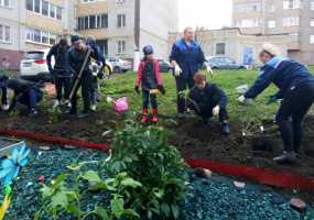 Нижнекамские школьники присоединились к экологической акции «Посади дерево» - НТР 24