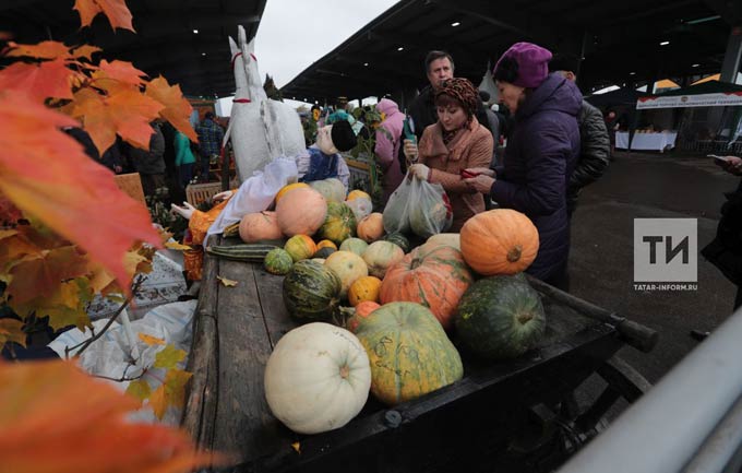 В Татарстане традиционные осенние сельхозярмарки начнут работу с 14 сентября