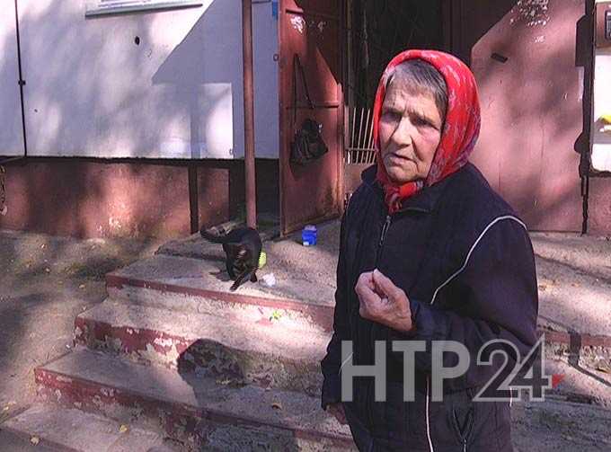 Пенсионерка из Нижнекамска переживает за судьбу своих усатых подопечных