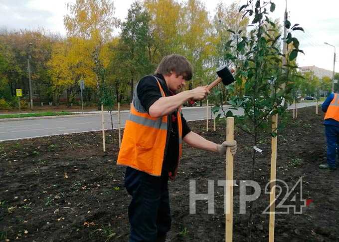 В центре Нижнекамска началась закладка нового яблоневого сада