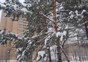 Погода готовит очередной сюрприз - на этот раз зимой - НТР 24