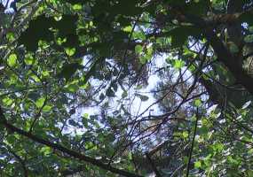 В Нижнекамске 12 градусов тепла, ожидается переменная облачность и осадки - НТР 24