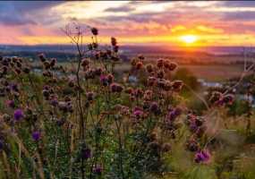 В Нижнекамске 12 градусов тепла, ожидается теплая погода с небольшим дождем - НТР 24