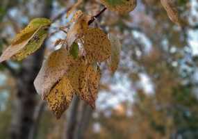 Прогноз погоды в Нижнекамске на воскресенье: ожидается до +21 - НТР 24