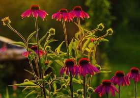 В Нижнекамске +15 градусов, ожидается теплая погода с небольшим дождем - НТР 24