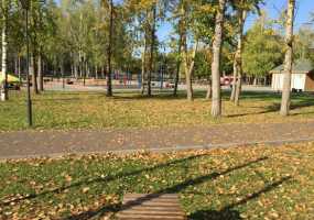 В Нижнекамске +14 градусов и ясно, ожидается тепло и солнечно - НТР 24