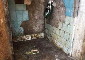 В Нижнекамске смелые крысы облюбовали мусорную камеру в доме на ул.Южной - НТР 24