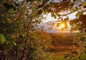 В Нижнекамске +14 градусов и ясно, ожидается почти летняя погода - НТР 24