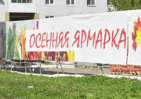 Названы цены на продукцию местных фермеров на ярмарках в Нижнекамске - НТР 24