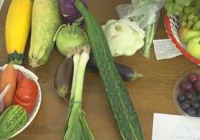 Нижнекамские пенсионеры похвастаются урожаем - НТР 24