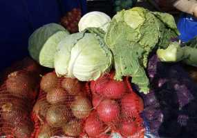 У нижнекамцев появилась возможность приобрести экологически чистые овощи и мясо по низким ценам