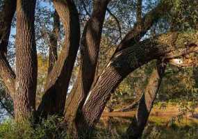 В Нижнекамске +12 градусов, ожидается переменная облачность и легкие осадки - НТР 24
