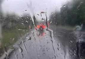 В Нижнекамске +8 градусов, идет дождь - НТР 24