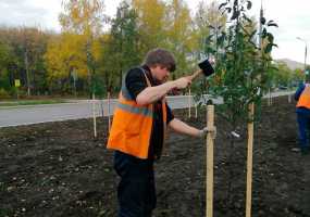 В центре Нижнекамска началась закладка нового яблоневого сада