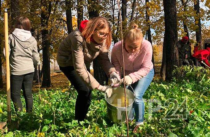 В Нижнекамске восстанавливают лес, заложенный купцами Стахеевыми