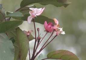 Синоптики продлили штормовое предупреждение в Татарстане - НТР 24