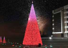 Как россияне планируют провести предстоящие новогодние каникулы - НТР 24