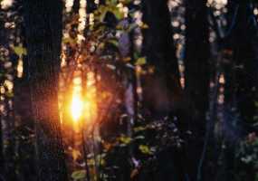 В Нижнекамске 14 градусов тепла, ожидается теплая и солнечная погода - НТР 24