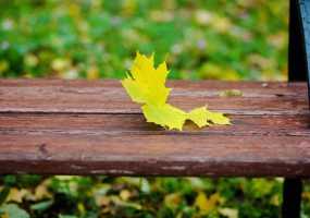 В Нижнекамске 14 градусов тепла, ожидается холодная и дождливая погода - НТР 24