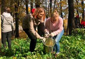 В Нижнекамске восстанавливают лес, заложенный купцами Стахеевыми - НТР 24