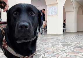 В одном из колледжей Нижнекамска появился необычный слушатель - НТР 24