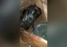 Около Нижнекамска пятеро жителей РТ воровали нефть через врезку в нефтепровод - НТР 24