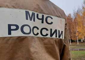 Нижнекамские огнеборцы спасали из огня пострадавшего Яшку - НТР 24