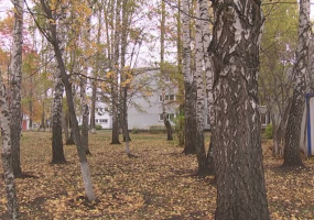 Непогода снова задержится в Нижнекамске - НТР 24