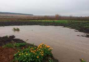 К одному из населенных пунктов Нижнекамского района подбирается зловонная река - НТР 24