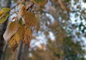 Тепло продержится в Нижнекамске до конца недели - НТР 24