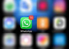 В мессенджере WhatsApp появилась новая функция - НТР 24